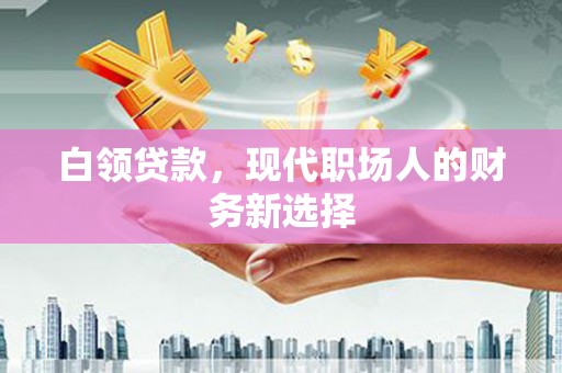 新园白领贷款，现代职场人的财务新选择