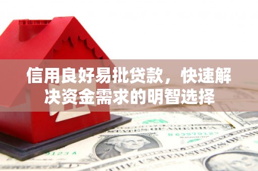 新园信用良好易批贷款，快速解决资金需求的明智选择