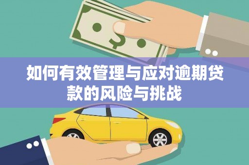 新园如何有效管理与应对逾期贷款的风险与挑战
