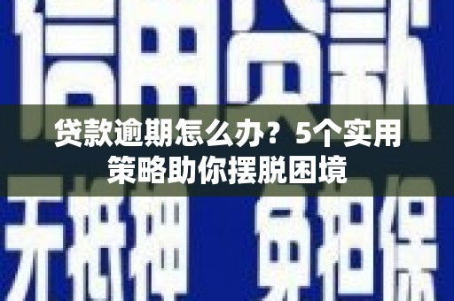 新园贷款逾期怎么办？5个实用策略助你摆脱困境