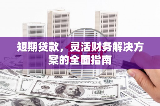 新园短期贷款，灵活财务解决方案的全面指南