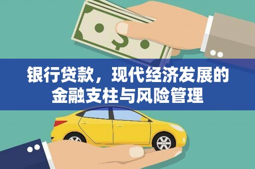 新园银行贷款，现代经济发展的金融支柱与风险管理