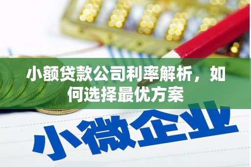 新园小额贷款公司利率解析，如何选择最优方案