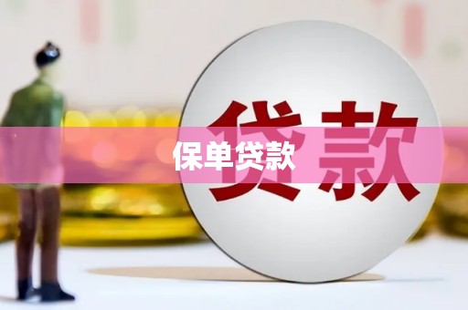 新园保单贷款
