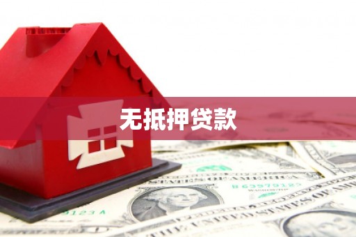 新园无抵押贷款
