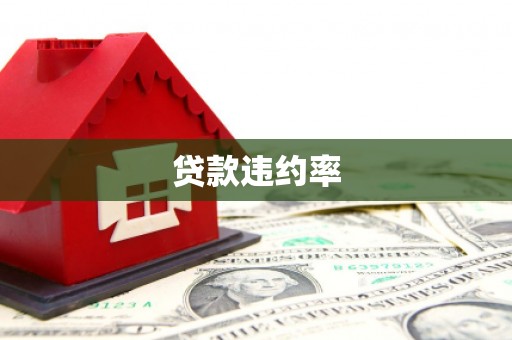 新园贷款违约率