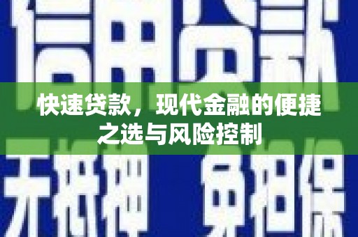 新园快速贷款，现代金融的便捷之选与风险控制