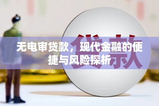 新园无电审贷款，现代金融的便捷与风险探析