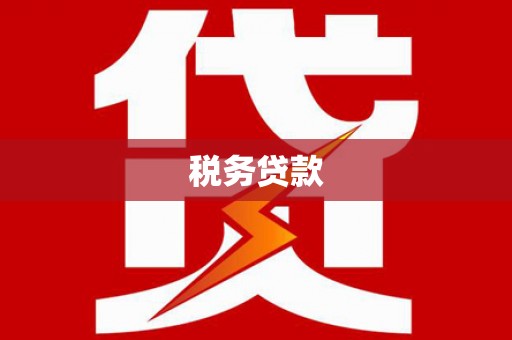 新园税务贷款