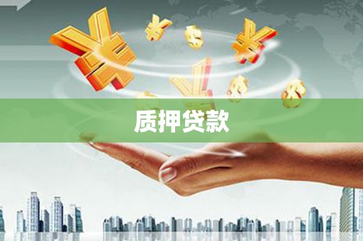 新园质押贷款