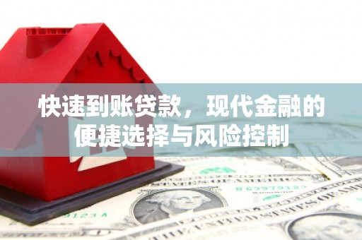 新园快速到账贷款，现代金融的便捷选择与风险控制