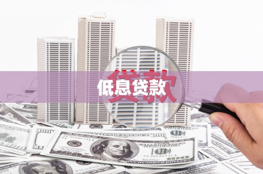 新园低息贷款