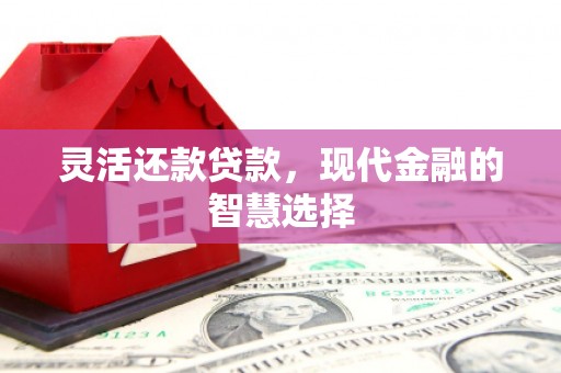 新园灵活还款贷款，现代金融的智慧选择