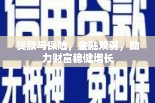 新园贷款与保险，金融双翼，助力财富稳健增长