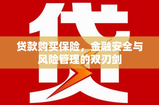 新园贷款购买保险，金融安全与风险管理的双刃剑