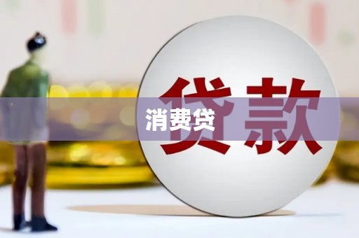 新园消费贷