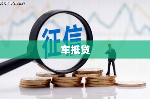 新园车抵贷