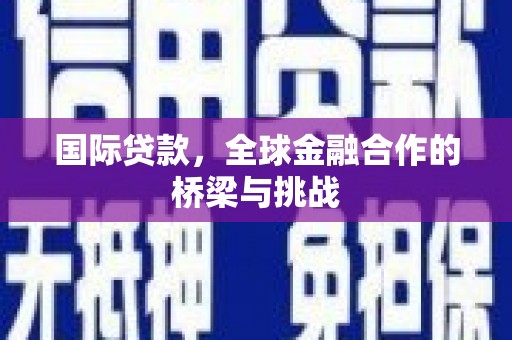 新园国际贷款，全球金融合作的桥梁与挑战