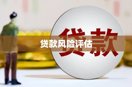 新园贷款风险评估