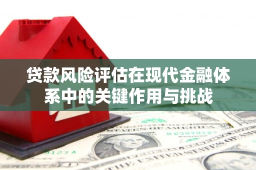 新园贷款风险评估在现代金融体系中的关键作用与挑战