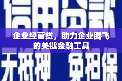 新园企业经营贷，助力企业腾飞的关键金融工具
