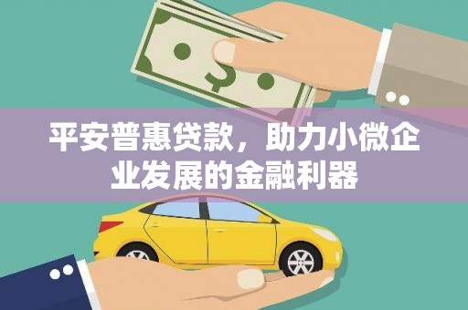 新园平安普惠贷款，助力小微企业发展的金融利器