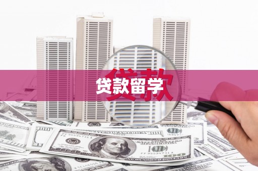 新园贷款留学