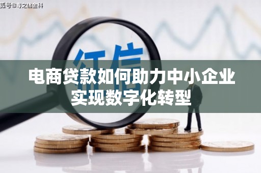 新园电商贷款如何助力中小企业实现数字化转型