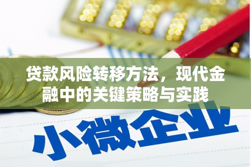 新园贷款风险转移方法，现代金融中的关键策略与实践
