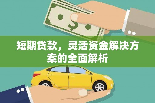 新园短期贷款，灵活资金解决方案的全面解析