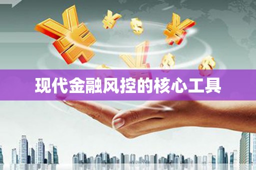 新园现代金融风控的核心工具