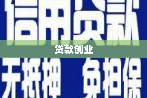 新园贷款创业