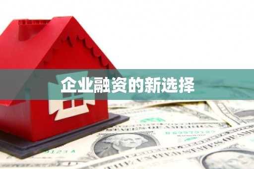 新园企业融资的新选择
