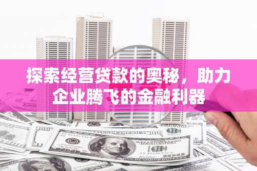 新园探索经营贷款的奥秘，助力企业腾飞的金融利器