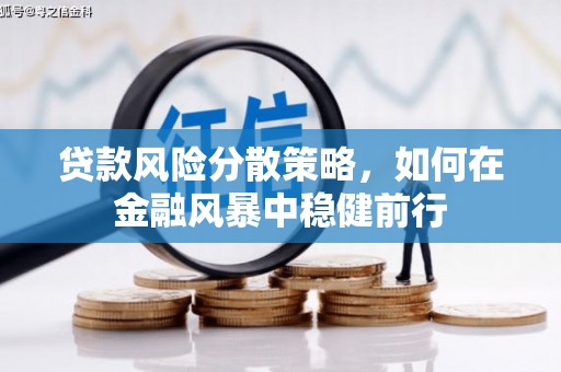 新园贷款风险分散策略，如何在金融风暴中稳健前行