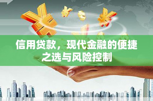 新园信用贷款，现代金融的便捷之选与风险控制