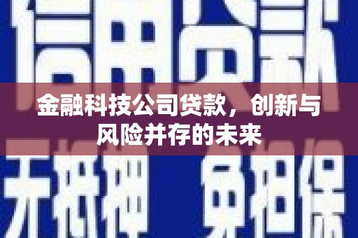 新园金融科技公司贷款，创新与风险并存的未来
