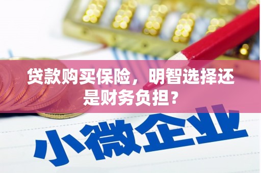 新园贷款购买保险，明智选择还是财务负担？