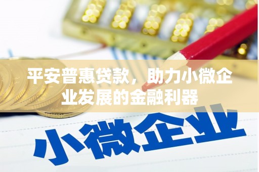 新园平安普惠贷款，助力小微企业发展的金融利器