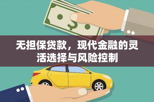 新园无担保贷款，现代金融的灵活选择与风险控制