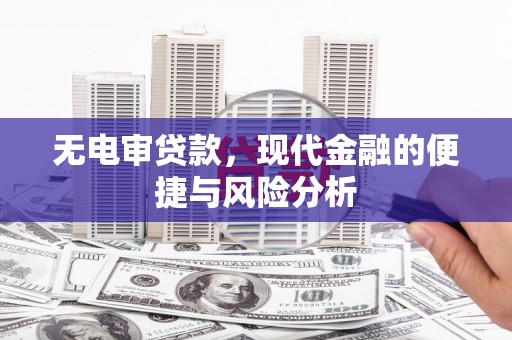 新园无电审贷款，现代金融的便捷与风险分析
