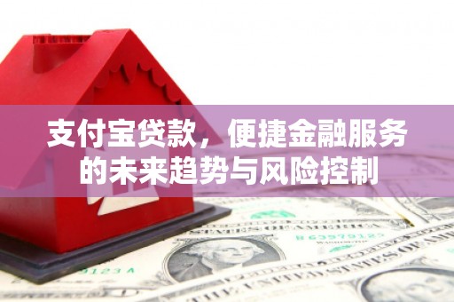 新园支付宝贷款，便捷金融服务的未来趋势与风险控制