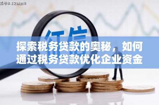 新园探索税务贷款的奥秘，如何通过税务贷款优化企业资金流