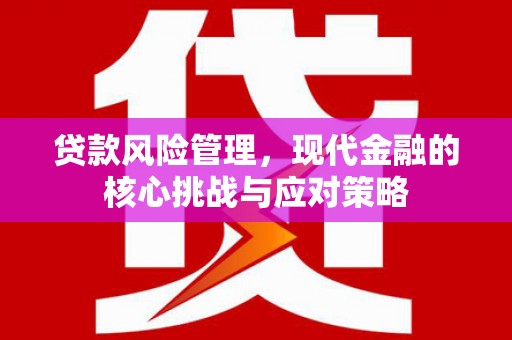 新园贷款风险管理，现代金融的核心挑战与应对策略