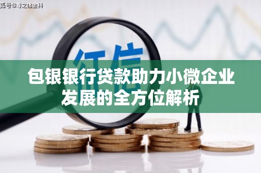 新园包银银行贷款助力小微企业发展的全方位解析