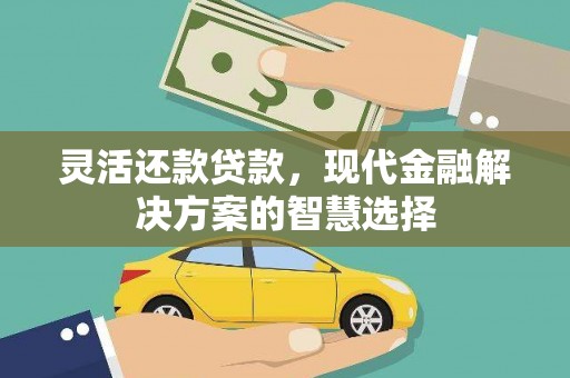 新园灵活还款贷款，现代金融解决方案的智慧选择