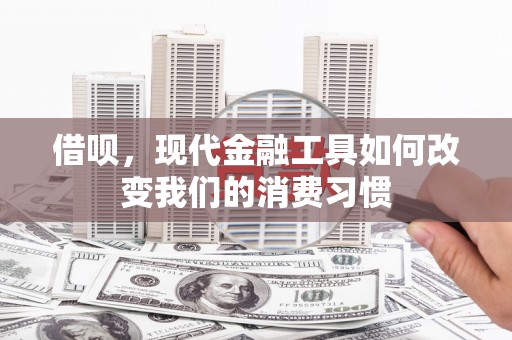新园借呗，现代金融工具如何改变我们的消费习惯