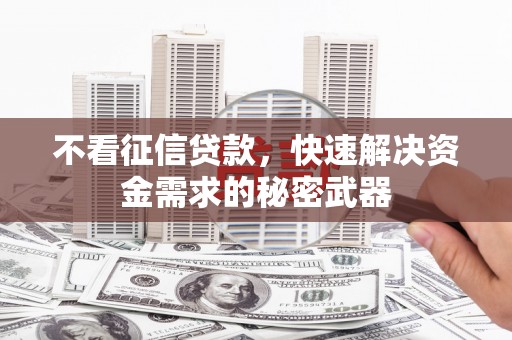 新园不看征信贷款，快速解决资金需求的秘密武器