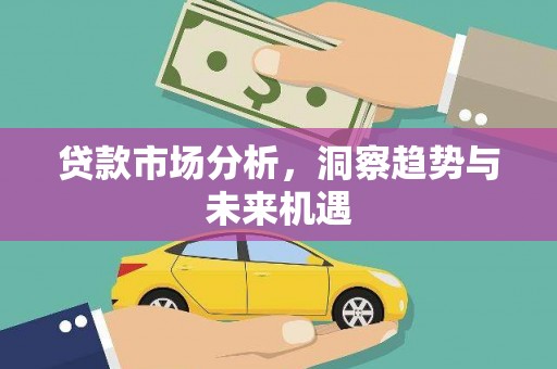 新园贷款市场分析，洞察趋势与未来机遇