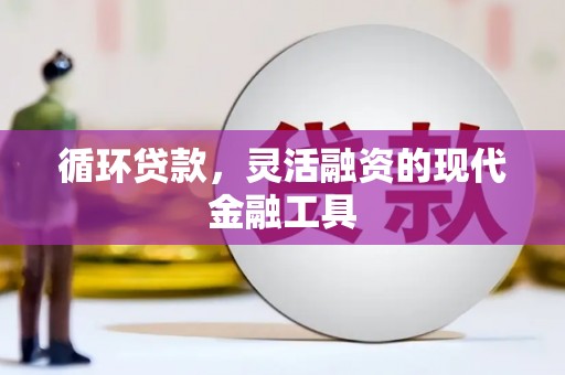 新园循环贷款，灵活融资的现代金融工具